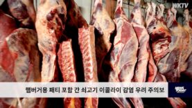 햄버거용 패티 포함 간 쇠고기 이콜라이 감염 우려 주의보