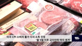 미국 CPI 소비자 물가 다시 소폭 진정 ‘올 9월 이후 금리인하 여지 생겨’