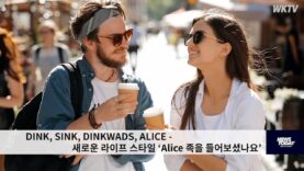 DINK, SINK, DINKWADS, ALICE 새로운 라이프 스타일 ‘Alice 족을 들어보셨나요’