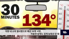 차량 내 소아 열사병으로 매년 38명 사망, 여름엔 밤에도 경계 늦춰선 안 돼