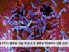 일본 STSS 연쇄상구균 독성 쇼크 증후군 박테리아 감염 급증
