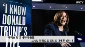 해리스 첫 유세부터 돌풍, 100일 광풍으로 트럼프 대세론 날리나