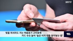 빚을 져서라도 가는 여름휴가 고비용에 카드 수요 늘어 ‘높은 이자 대출 쌓아놓는 셈’