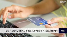 엎친 데 덮쳤다, 신용카드 연체율 최고 수준인데 이자율도 정점 찍어