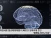 혈액검사로 알츠하이머병 더 빠르고 정확하게 진단 ‘정확도 90% 이상’