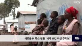 새로운 M 폭스 변종 ‘세계 보건 비상 주의보’