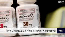 마약류 오피오이드로 인한 사망률 최저치지만, 여전히 위험 수준