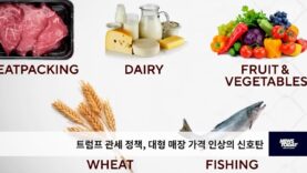 트럼프 관세 정책, 대형 매장 가격 인상의 신호탄