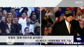 트럼프 ‘경제 이민으로 승리한다’ VS 해리스 ‘낙태독재로 역전 가능’