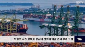 트럼프 국가 경제 비상사태 선포해 일괄 관세 부과 고려