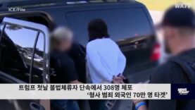 트럼프 첫날 불법체류자 단속에서 308명 체포 ‘형사 범죄 외국인 70만 명 타겟’