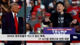 DOGE 정부효율부 머스크 일인 체제, IT 시스템 개혁으로 전면 개편