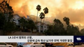 LA 3곳서 발화된 산불, 강풍에 급속 확산 남가주 전역 거대한 불길