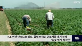 ICE 이민 단속으로 불법, 합법 외국인 근로자들 대거 잠적 ‘일부 업계 직격탄’