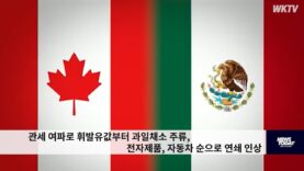 관세 여파로 휘발유값부터 과일채소 주류, 전자제품, 자동차 순으로 연쇄 인상