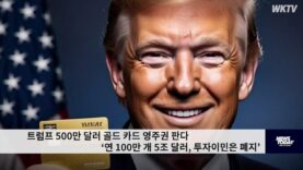 트럼프 500만 달러 골드 카드 영주권 판다 ‘연 100만 개 5조 달러, 투자이민은 폐지’