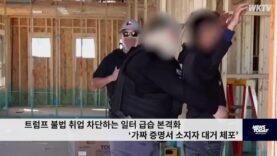 트럼프 불법 취업 차단하는 일터 급습 본격화 ‘가짜 증명서 소지자 대거 체포’