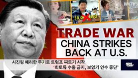 시진핑 예리한 무기로 트럼프 찌르기 시작 ‘희토류 수출 금지, 보잉기 인수 중단’