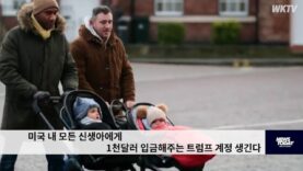 미국 내 모든 신생아에게 1천달러 입금해주는 트럼프 계정 생긴다