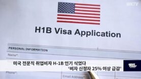 미국 전문직 취업비자 H-1B 인기 식었다 ‘비자 신청자 25% 이상 급감’