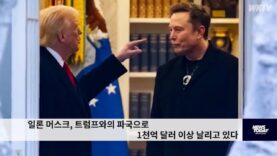 일론 머스크, 트럼프와의 파국으로 1천억 달러 이상 날리고 있다