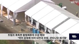 트럼프 혹독한 불법체류자 수감 확대 ‘악어 감옥에 이어 내전국 추방, 관타나모 재가동