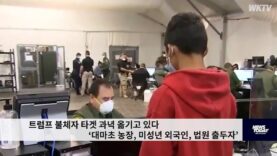 트럼프 불체자 타겟 과녁 옮기고 있다 ‘대마초 농장, 미성년 외국인, 법원 출두자’