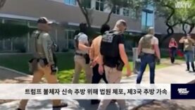 트럼프 불체자 신속 추방 위해 법원 체포, 제3국 추방 가속