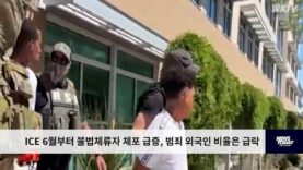 ICE 6월부터 불법체류자 체포 급증, 범죄 외국인 비율은 급락