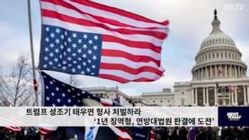 트럼프 성조기 태우면 형사 처벌하라 ‘1년 징역형, 연방대법원 판결에 도전’