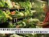 미국 물가 불안 심상치 않다 ‘관세 파장 직전인데도 소비자 물가 3%’