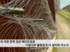 미국 국경 장벽 검은 페인트칠로 가열시켜 불법입국 더 철저히 막는다