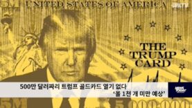500만 달러짜리 트럼프 골드카드 열기 없다 ‘올 1천 개 미만 예상’