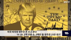 미국 비자와 영주권 돈 보고 준다 ‘H 1B 고액 연봉 순, 5백만 불 영주권 25만 대기’