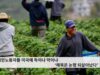 이민노동자 미국에 약이냐 독이냐 해묵은 논쟁 되살아났다