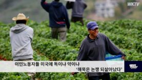 이민노동자 미국에 약이냐 독이냐 해묵은 논쟁 되살아났다