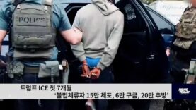 트럼프 ICE 첫 7개월 ‘불법체류자 15만 체포, 6만 구금, 20만 추방’