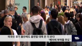 미국민 경기 불안에도 올연말 대목 돈 더 쓴다 ‘베이비 부머들 주도’