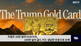 트럼프 10만 달러 H1B 비자, 100만 달러 골드 카드 냉담한 반응으로 손해