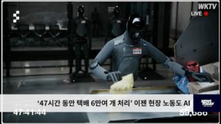 ‘47시간 동안 택배 6만여 개 처리’ 이젠 현장 노동도 AI