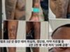 트럼프 1년 반 동안 테러의심자,갱단원,마약 카르텔 등 1만 2천 명 국경 저지 ‘16배 급증’