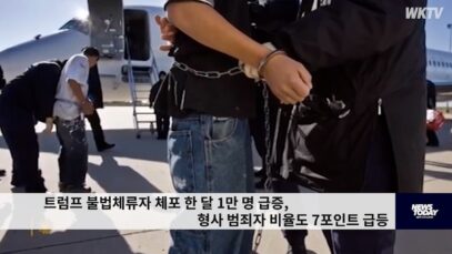 트럼프 불법체류자 체포 한 달 1만 명 급증, 형사 범죄자 비율도 7포인트 급등