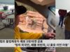 트럼프 불법체류자 체포 3대 타겟 공표 ‘범죄 외국인, 패롤 위반자, 나 홀로 이민 아동’