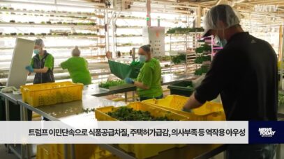 트럼프 이민단속으로 식품공급차질, 주택허가급감, 의사부족 등 역작용 아우성